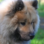 Программы лояльности казино без депозитов - безрисковые бонусы