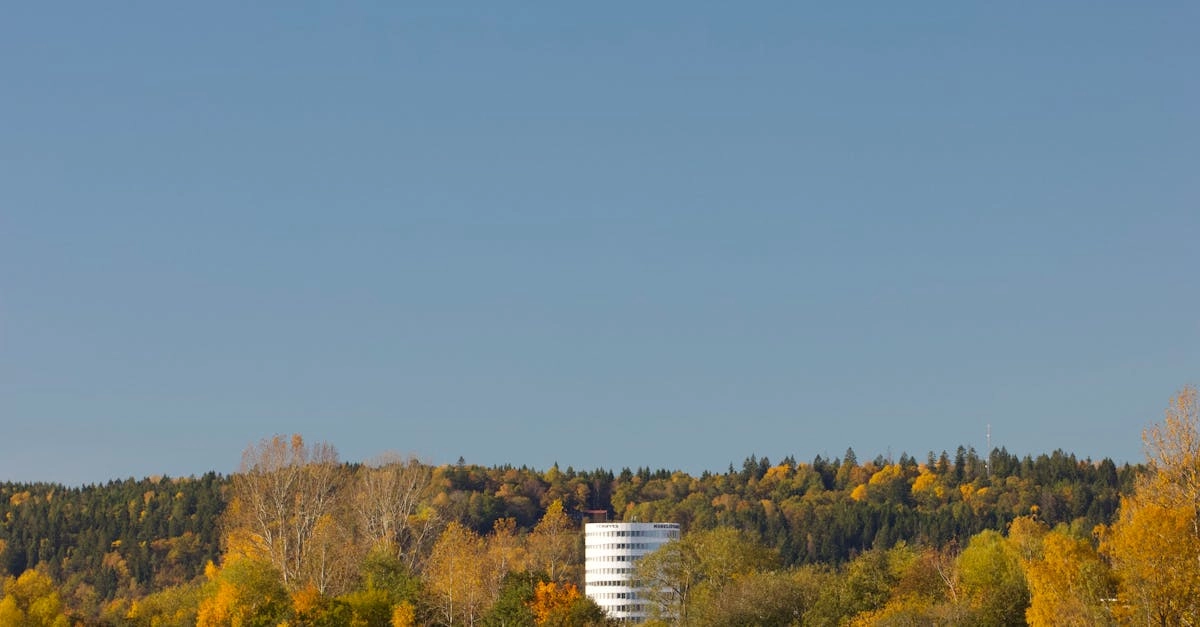 Современные игровые автоматы 2025 года для мирного развлечения